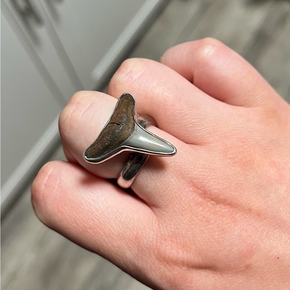 Charles Albert Shark Tooth Ring